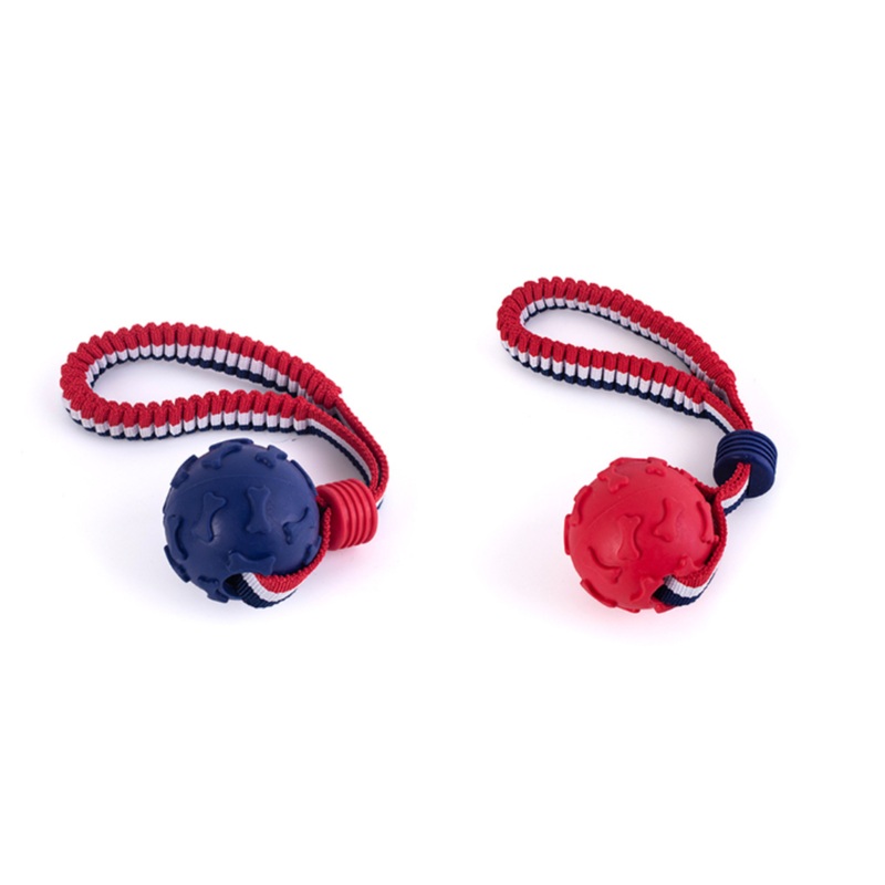Pet Dog Toy Ball Bone Print with Elastic Rope 6 cm Assorted Colours 6730 (Parcel Rate)