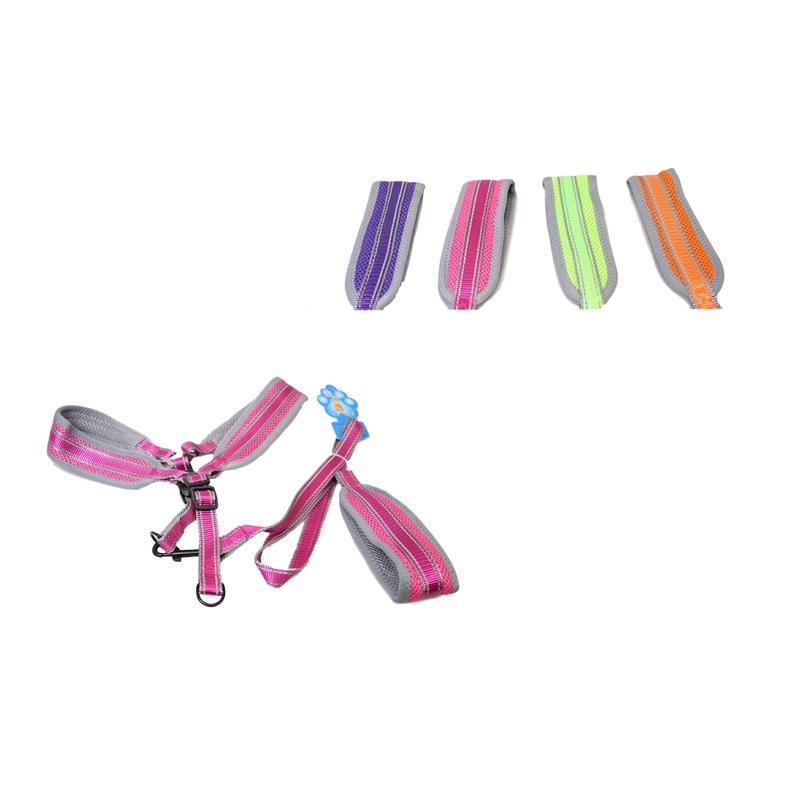 Pet Dog Soft Lead Leash with Harness Assorted Colours 5884 (Parcel Rate)