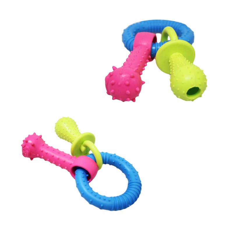 Pet Dog Chewing Toy Dummy Ring with Bone Assorted Colours 1817 (Parcel Rate)