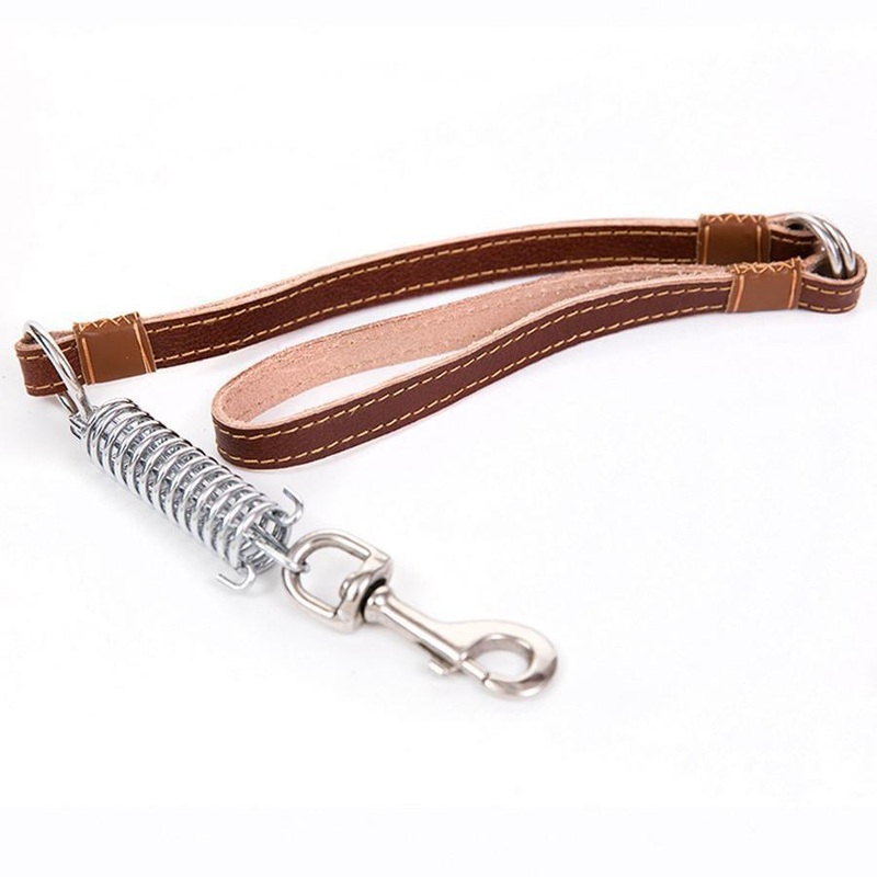Pet Dog Leash Lead with Spring Buckle Clip 51cm Assorted Colours 4620 (Large Letter Rate)