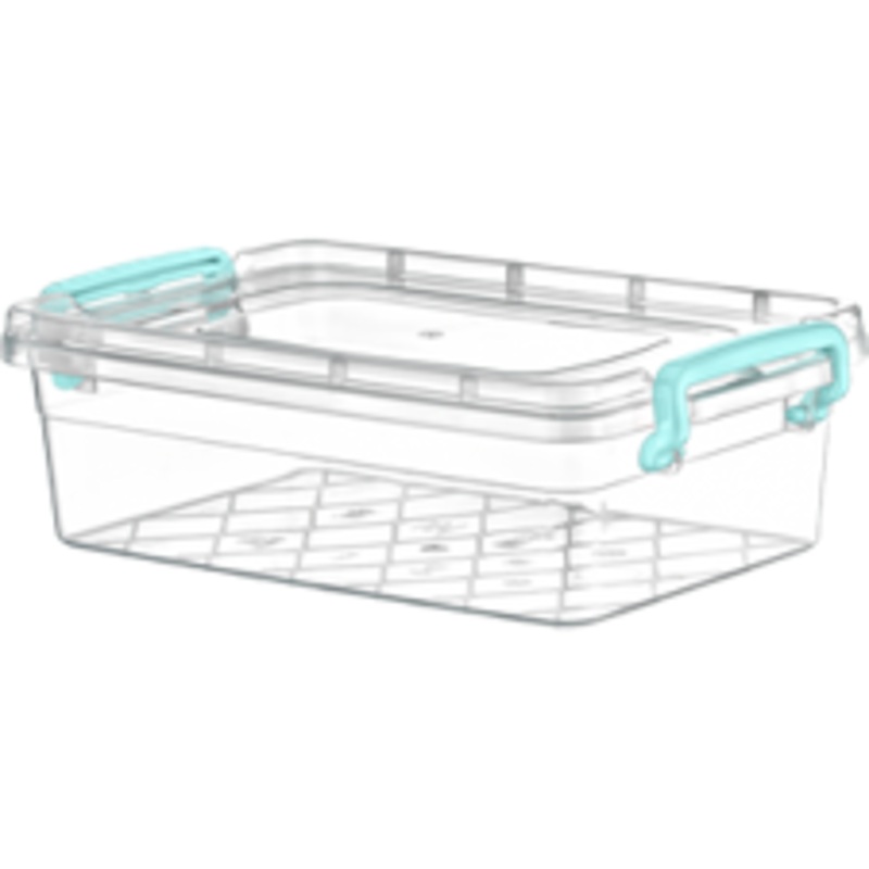Clear Storage Container Midi Box With Handles 2.20 Litre AK244 (Parcel Rate)