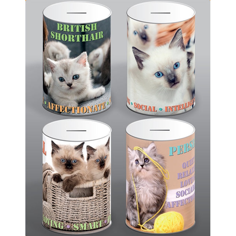 Cat Money Tin 100mm x 150mm Assorted Designs CAT001 (Parcel Rate)